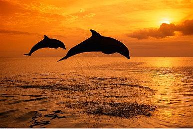 《索尼克赛车 交叉世界》亚洲巡回赛中国线下站即将启程！ 首站上海城市赛10月23日热力开跑